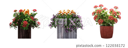 decorative flower in a pot isolate on a transparent background, 3D illustration, cg render 122038172
