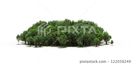 group of trees isolated on a transparent background, big trees in the forest, 3D illustration, cg render 122038249