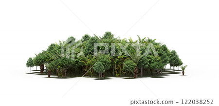 group of trees isolated on a transparent background, big trees in the forest, 3D illustration, cg render 122038252