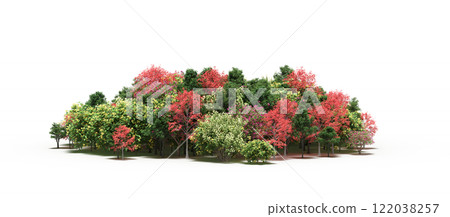 group of trees isolated on a transparent background, big trees in the forest, 3D illustration, cg render 122038257