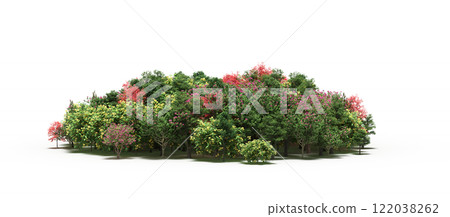 group of trees isolated on a transparent background, big trees in the forest, 3D illustration, cg render 122038262