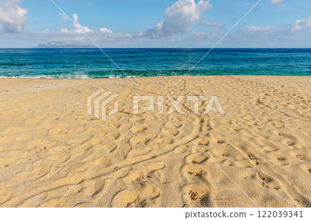 Yakushima's largest sea turtle nesting site, Nagata Inakahama (Summer) Yakushima's largest sea turtle nesting site, Nagata Inakahama (Summer) 122039341