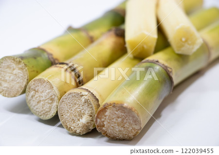 sugar cane sugar cane 122039455
