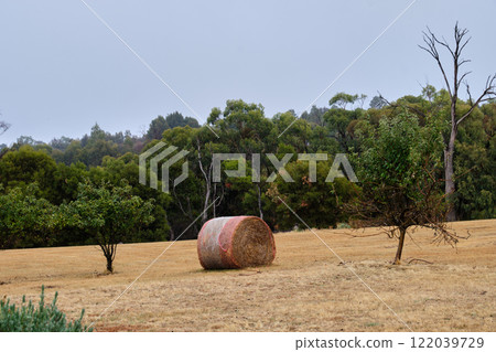 Hay bale - Barwite Hay bale - Barwite 122039729