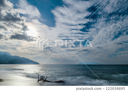 Yakushima's largest sea turtle nesting site, Nagata Inakahama (Autumn) 122039895