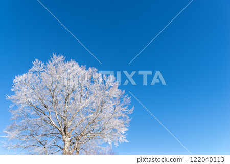 霜和藍天 霜和藍天 122040113