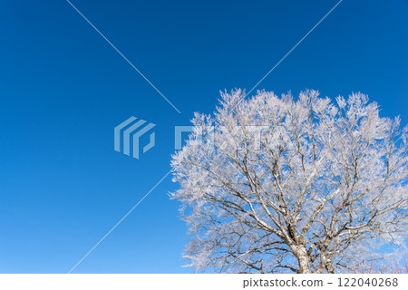 霜和藍天 霜和藍天 122040268