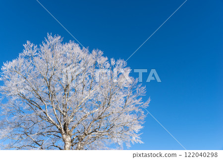 霜和藍天 122040298