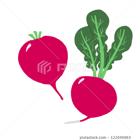 Radish Radish 122040863