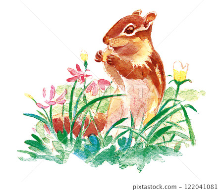 Squirrel in the flower 122041081