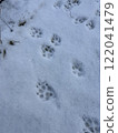 雪中狗的腳印 122041479