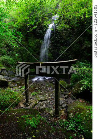Torii gate and waterfall in the forest 122041505