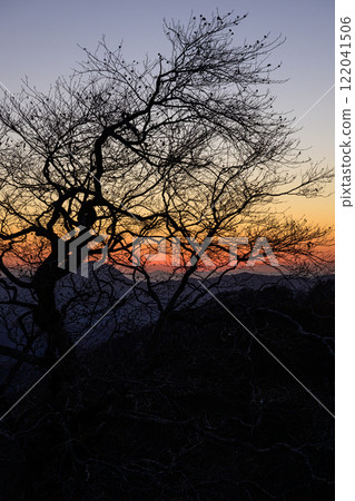 Tree silhouettes at Shirabu Pass 122041506