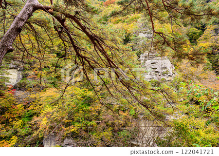 塔身被秋葉染紅 122041721