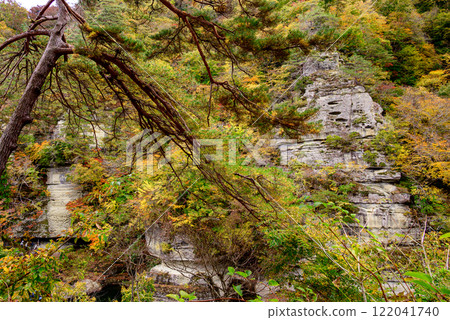 Tonohetsuri amidst autumn foliage Tonohetsuri amidst autumn foliage 122041740