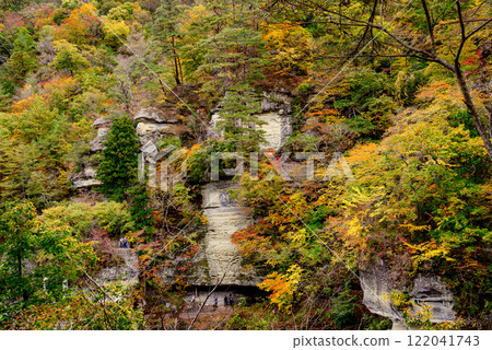 塔身被秋葉染紅 122041743