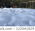走在雪的狗 122041829