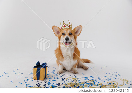 Royal corgi dog wearing a golden crown with a gift, confetti, and festive decorations Royal corgi dog wearing a golden crown with a gift, confetti, and festive decorations 122042145