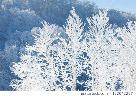 Rime forest Rime forest 122042297