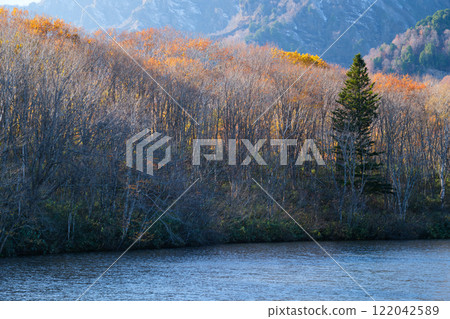 Slanting light of Kagami-ike pond 122042589