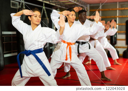 Polyethnic men and women in kimono exercising kata Polyethnic men and women in kimono exercising kata 122043028