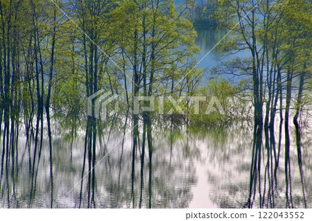 Lake Akimoto and Urabandai (Kitashiobara Village, Fukushima Prefecture) 122043552