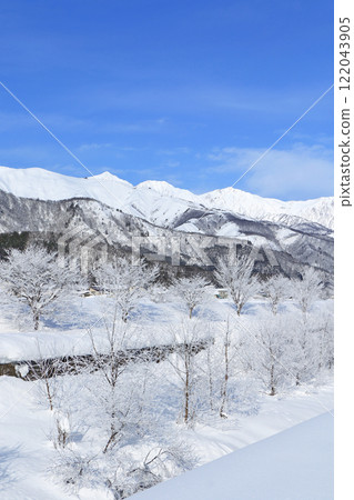 冬天的白馬、白霜和北阿爾卑斯山 冬天的白馬、白霜和北阿爾卑斯山 122043905