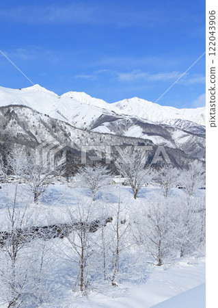 Hakuba in winter: frost and the Northern Alps 122043906