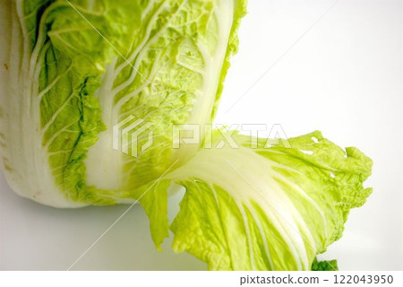 Fresh cabbage Fresh cabbage 122043950