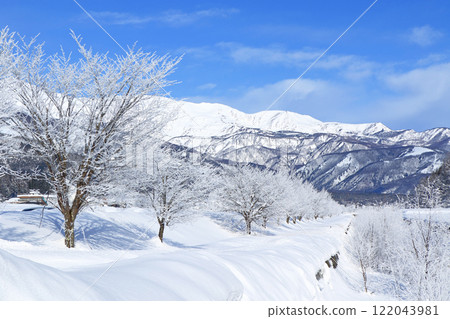 冬天的白馬、白霜和北阿爾卑斯山 冬天的白馬、白霜和北阿爾卑斯山 122043981