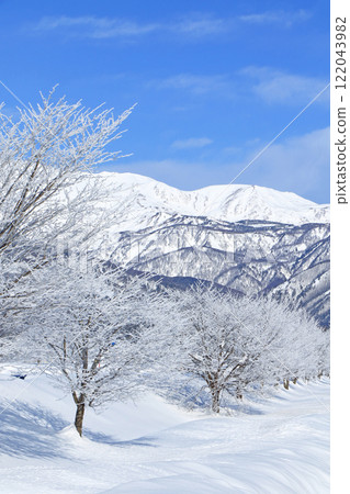 冬天的白馬、白霜和北阿爾卑斯山 122043982