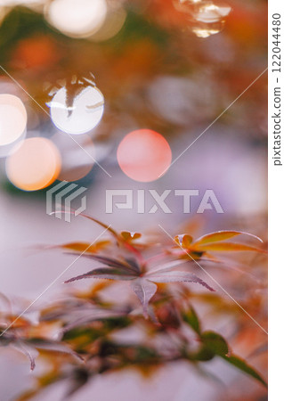 Purple autumn leaves floating on a bokeh background 122044480