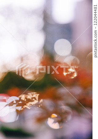 Fantastic bokeh autumn leaves 122044481