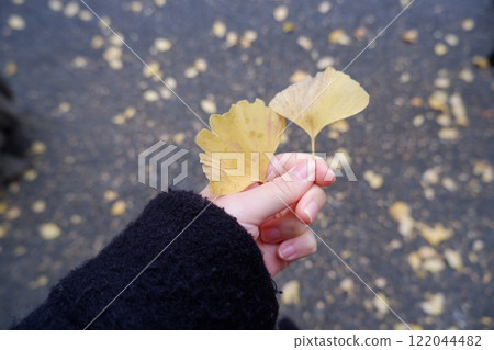 銀杏落葉 122044482