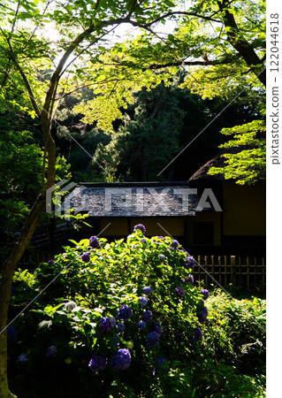 Japanese inn surrounded by greenery and hydrangeas Japanese inn surrounded by greenery and hydrangeas 122044618