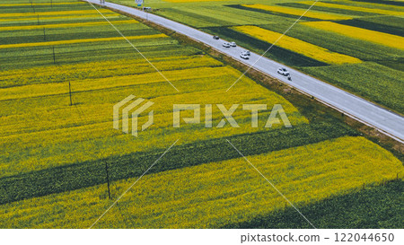 China Gansu rapeseed field China Gansu rapeseed field 122044650