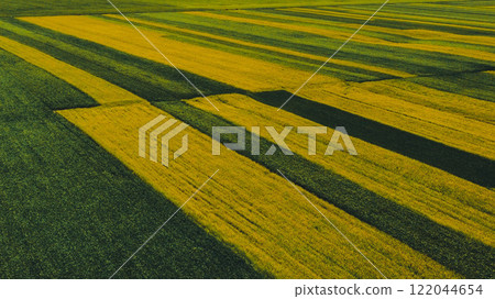 China Gansu rapeseed field 122044654