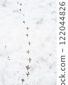 Bird footprints in the snow 122044826