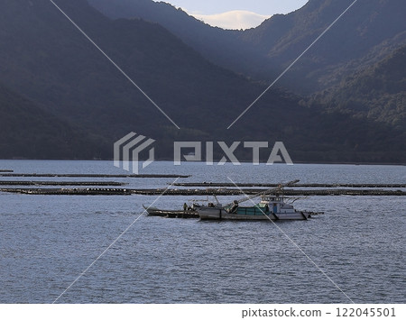 Oyster Oyster 122045501