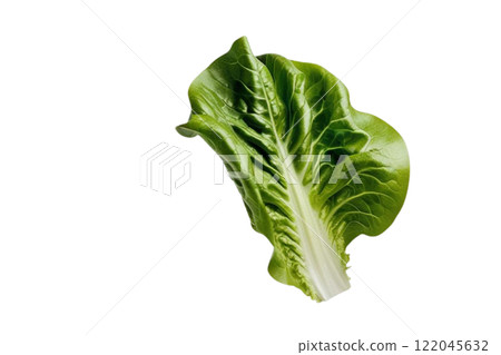 floated Fresh salad green lettuce leaf isolate  on the white background 122045632