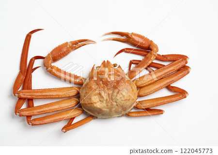Red snow crab: a winter delicacy Red snow crab: a winter delicacy 122045773