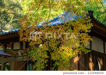 Hase Kannon in Autumn 122046059