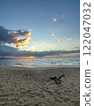 Beautiful tropical sunset and driftwood on the beach 122047032