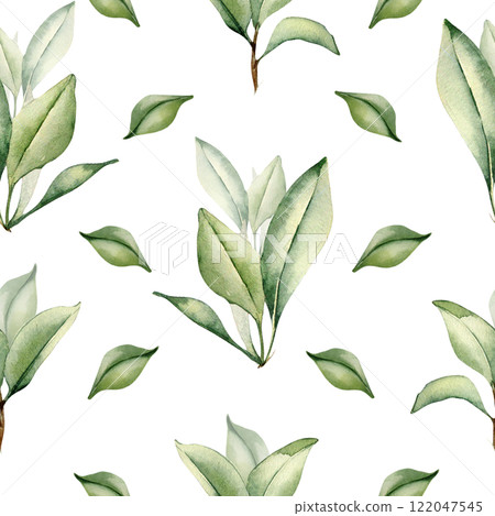 Branches of citrus tree with leaves watercolor seamless pattern isolated on white. Grapefruit tree greenery sprigs hand drawn on repeating texture. Foliage background for wallpaper, packaging, textile 122047545