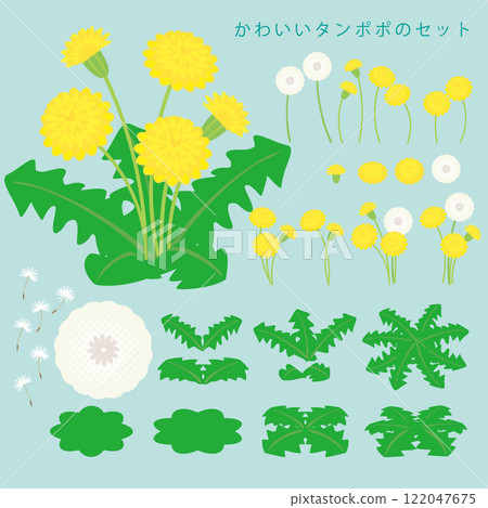 Dandelion vector illustration set Dandelion vector illustration set 122047675