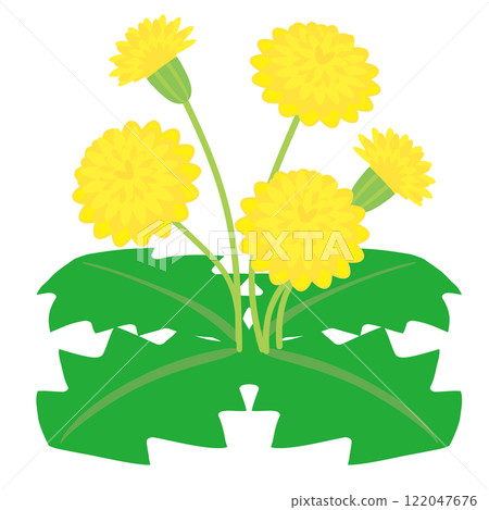 Dandelion vector illustration Dandelion vector illustration 122047676