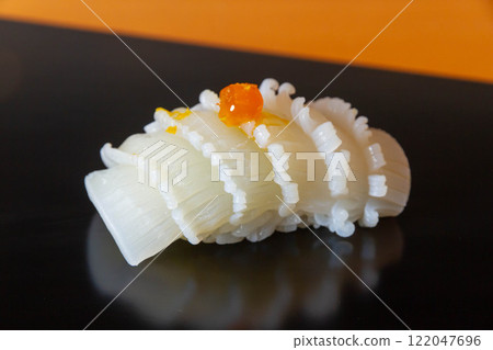 Squid's handful sushi 122047696