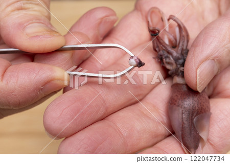 Preparing the firefly squid, removing the eyes, mouth and carapace 122047734