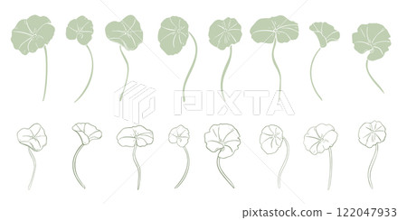 Centella asiatica vector set of silhouette and contour in soft green tones on white. Pennywort, gotu kola herbal plants hand drawn monochrome. Tiger herb linear sketch outline for package, label. Centella asiatica vector set of silhouette and contour in soft green tones on white. Pennywort, gotu kola herbal plants hand drawn monochrome. Tiger herb linear sketch outline for package, label. 122047933