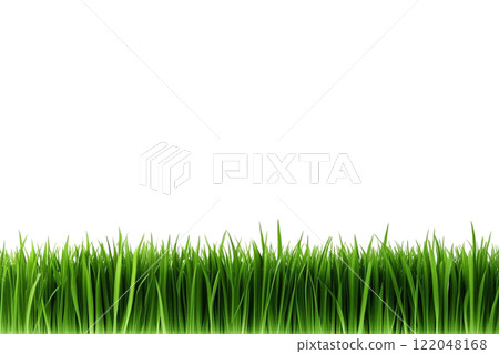 green grass field on the white background 122048168